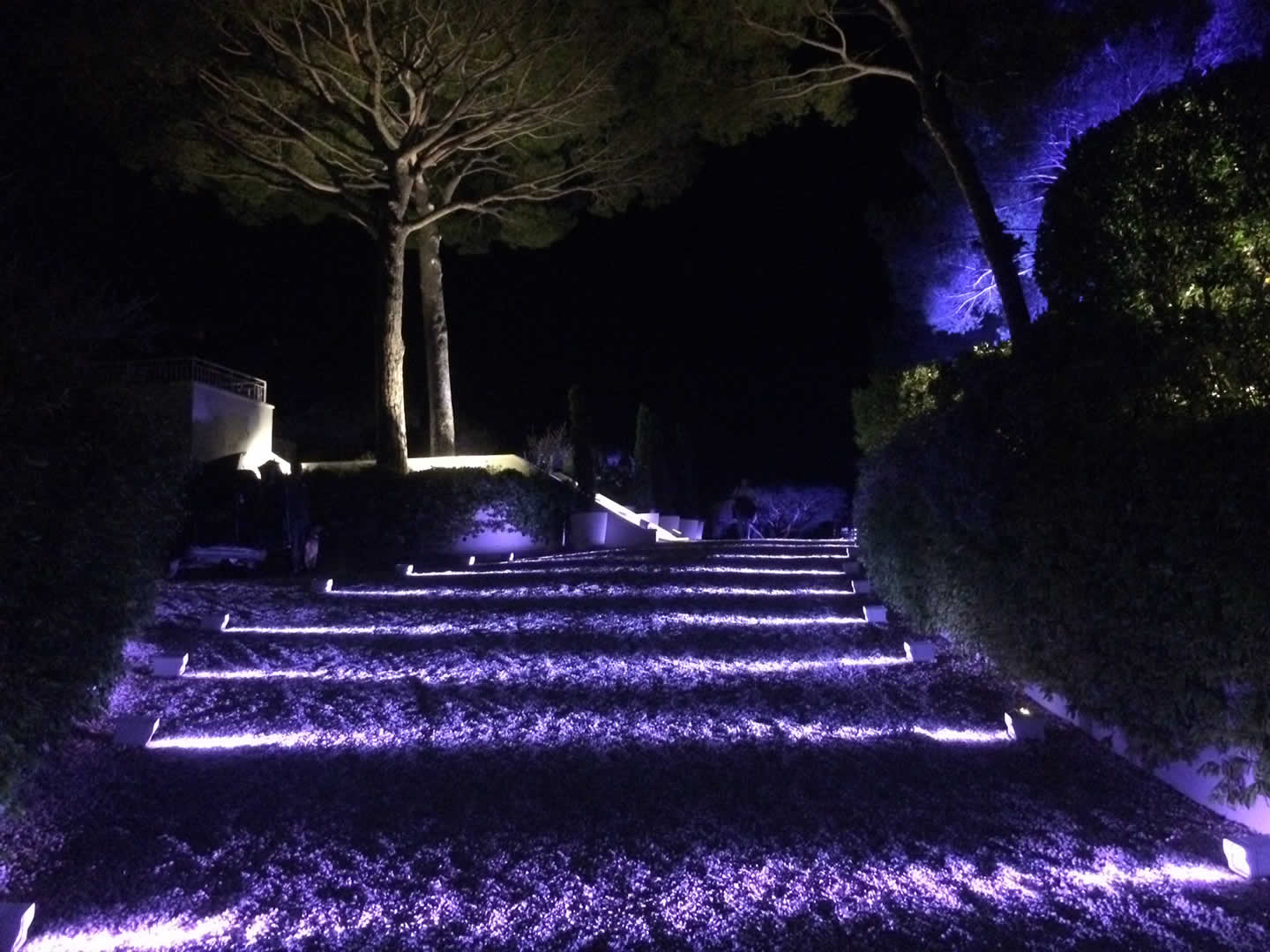 Alternative text - Soirée privée à St Tropez avec l'agence LIFE PLUS